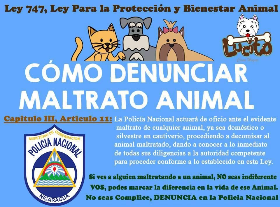 capitulos
