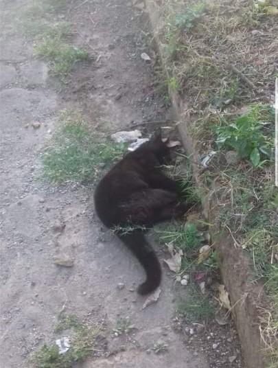 Imagen de uno de los denunciantes