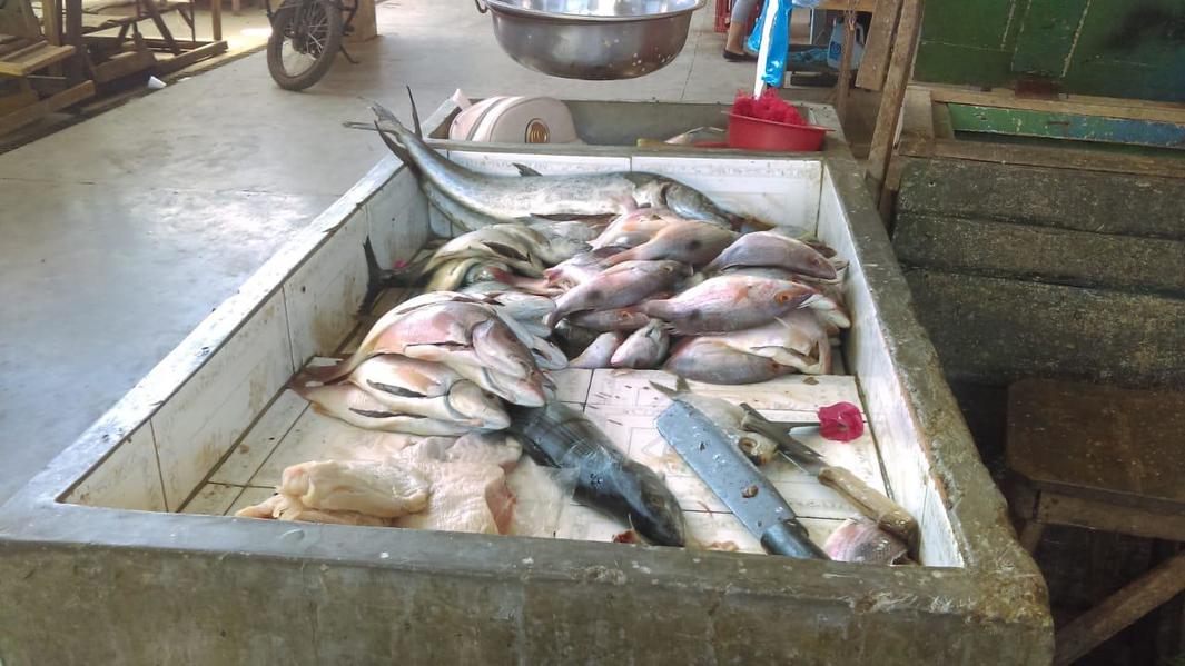 Imagen de Cortesía área de mariscos