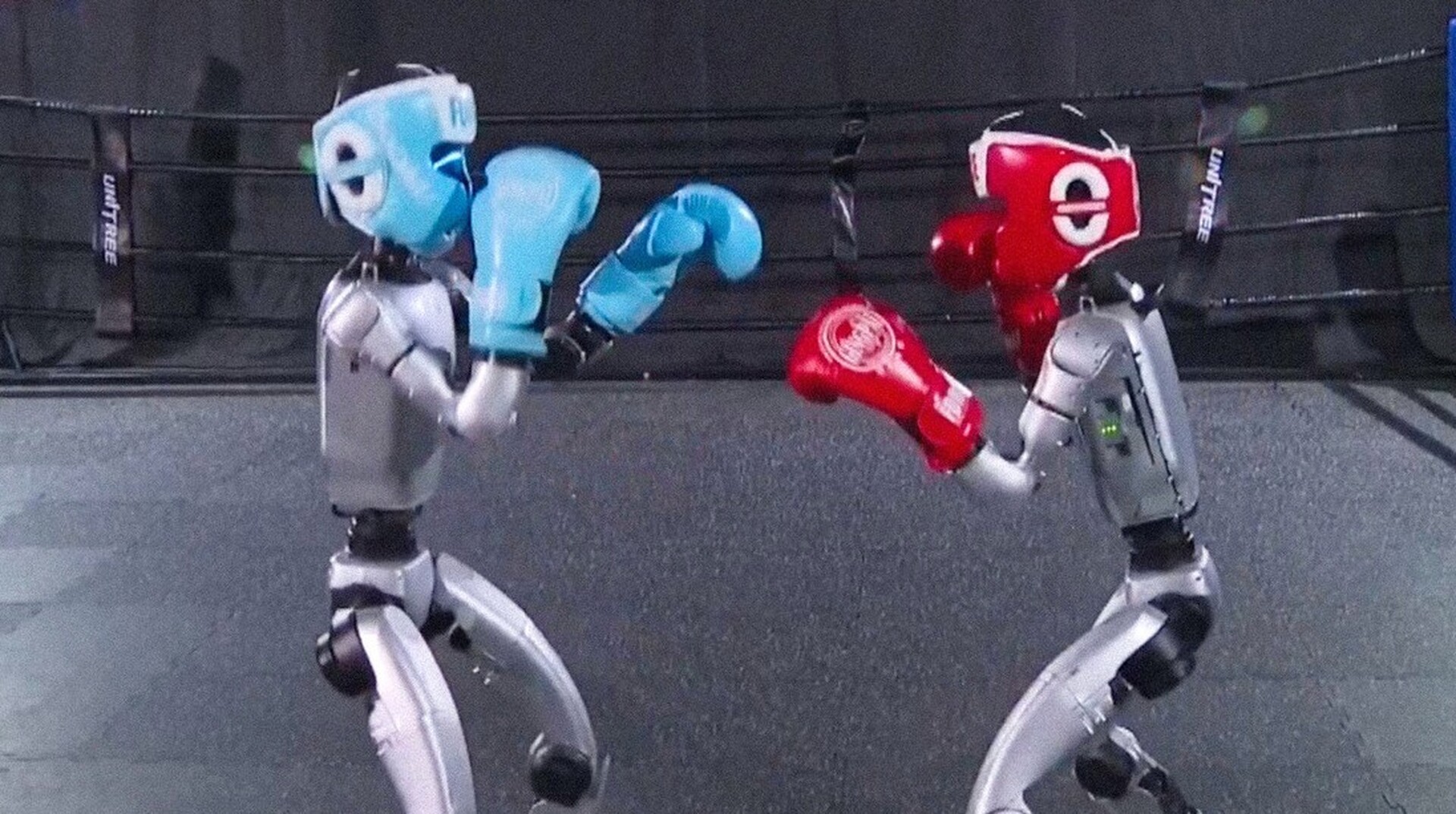 Tras meses de arduo entrenamiento, demostraron que están listos para los golpes fuertes.  Imagen tomada de Vos TV.