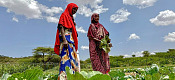 El cambio climático agrava el hambre y alimenta los conflictos en los países más frágiles del mundo, alerta World Vision.   Imagen tomada de Infobae.