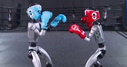 Tras meses de arduo entrenamiento, demostraron que están listos para los golpes fuertes.  Imagen tomada de Vos TV.