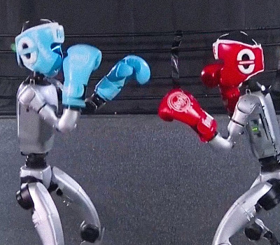 Tras meses de arduo entrenamiento, demostraron que están listos para los golpes fuertes.  Imagen tomada de Vos TV.
